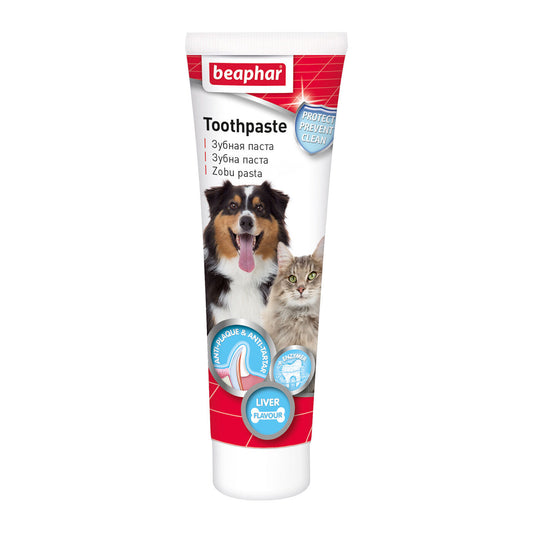 Maksa maitsega hambapasta