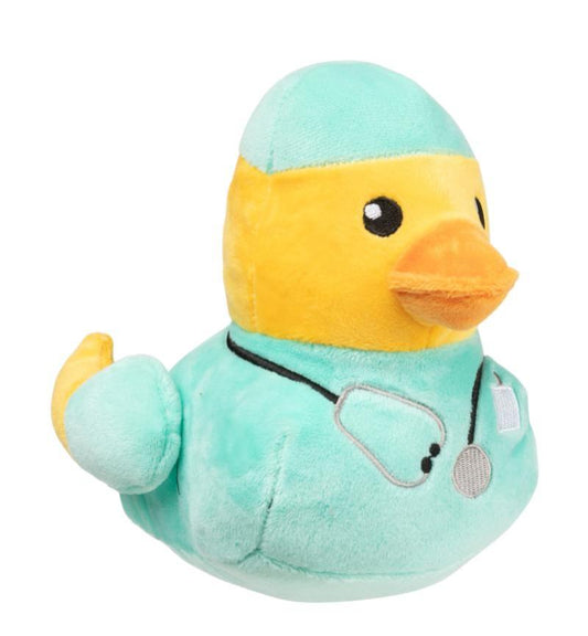 Koera mänguasi heliga