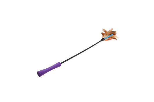 Kassimänguasi koos saua ja sulgedega