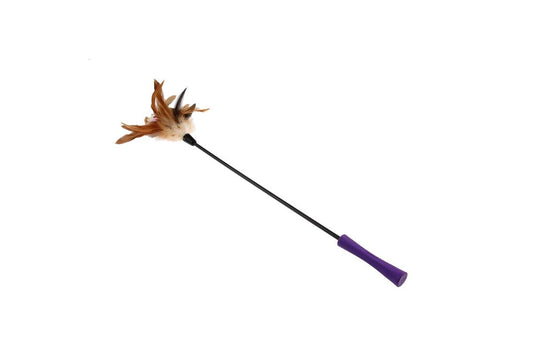 Kassimänguasi koos saua ja sulgedega