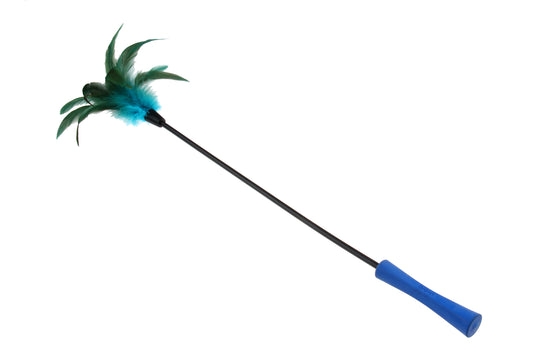 Kassi mänguasi - sulgedega pulk