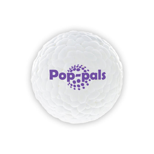 Koera mänguasi pall