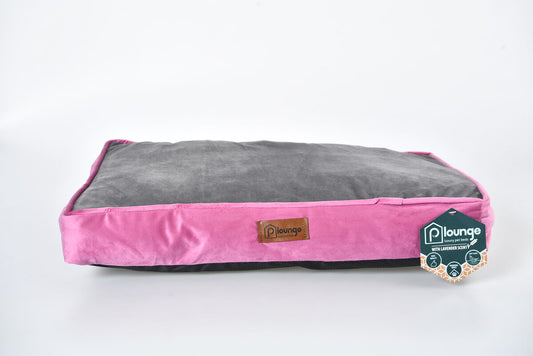P.Lounge Lavendliaroomiga magamisase lemmikloomale