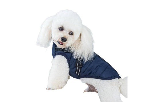Paw Couture Lemmiklooma vest