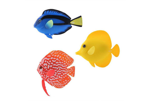 Akvaariumi kaunistus