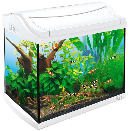 Tetra AquaArt akvaarium koos varustusega