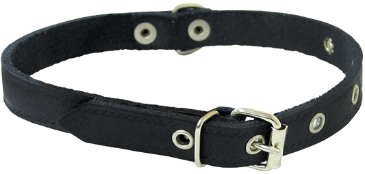 Hippie Pet Ошейник, перфорированный, 1.6x40 см