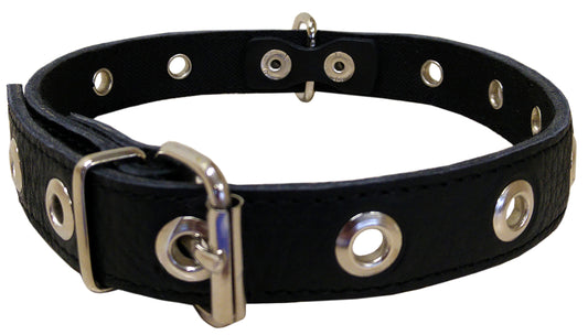 Hippie Pet Kaelarihm, augustatud, 2,3x52 cm