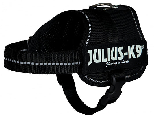 Trixie Traksid Julius-K9