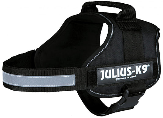 Trixie Traksid Julius-K9