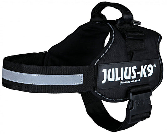 Trixie Traksid Julius-K9