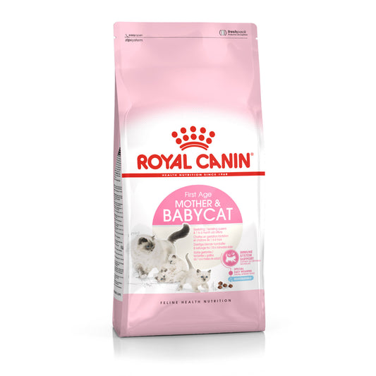 Royal Canin сухой корм для кошек в период беременности и лактации