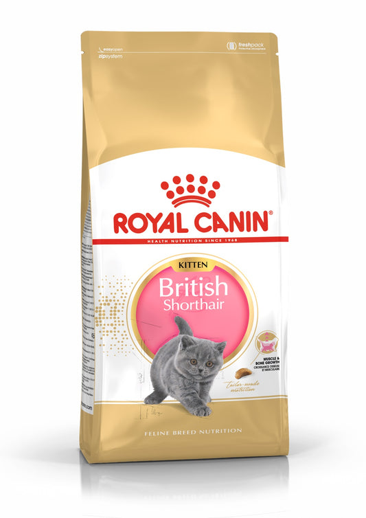 Royal Canin сухой корм для котят породы британская короткошерстная