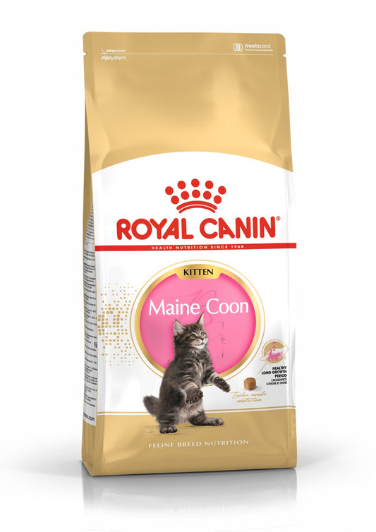 Täissööt Maine Coon kassipoegadele