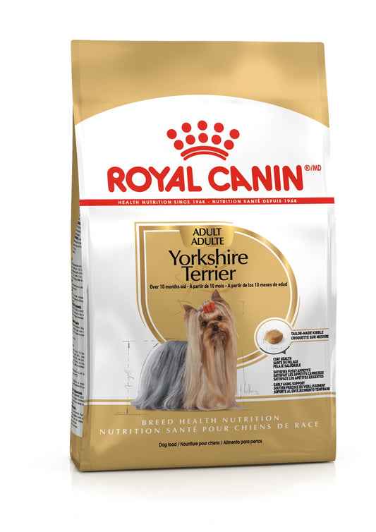 Täissööt täiskasvanud Yorkshire terjeritele