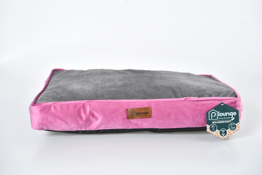 P.Lounge Lavendliaroomiga magamisase lemmikloomale