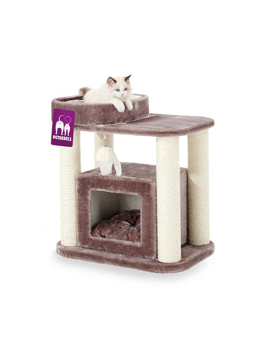 Petrebels Когтеточка