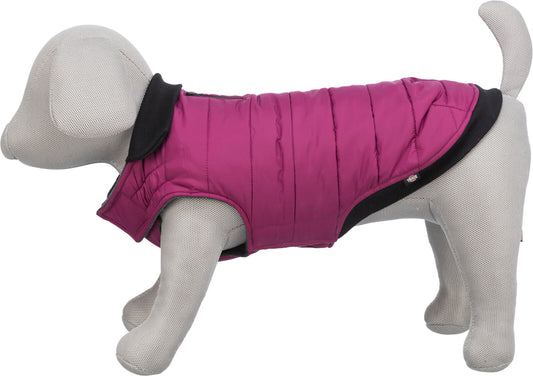 Trixie Arlay lemmiklooma vest