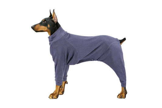 Paw Couture Lemmiklooma kombinesoon