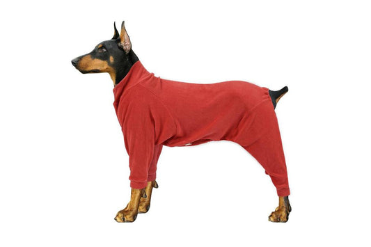 Paw Couture Lemmiklooma kombinesoon