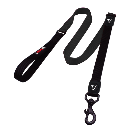 Doco Nailonist jalutusrihm BUNGEE