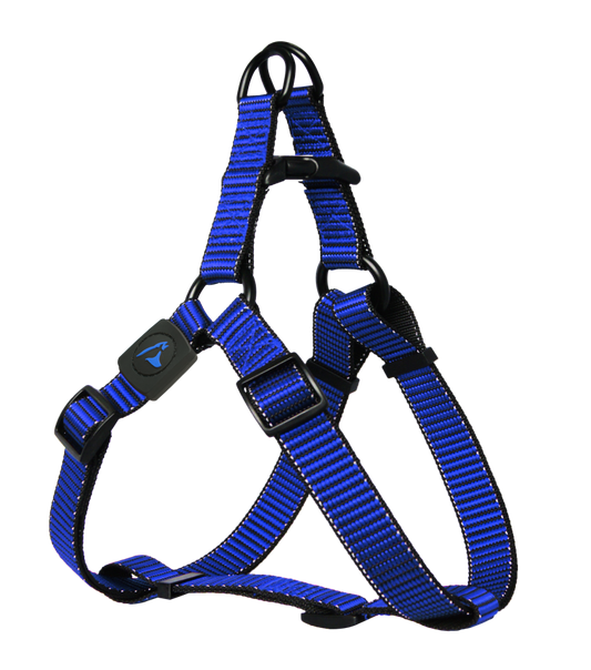 Doco Koeratraksid  Martini Bean