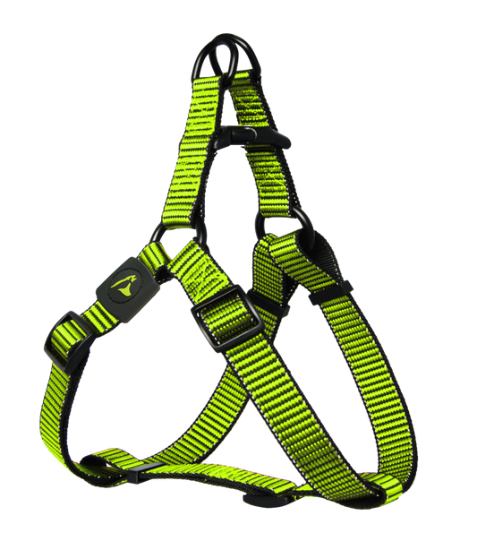 Doco Koeratraksid  Martini Bean