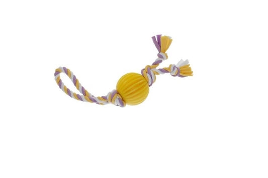 Misoko Koera mänguasi, pall nööriga