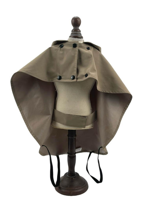 Lemmiklooma vihmamantel