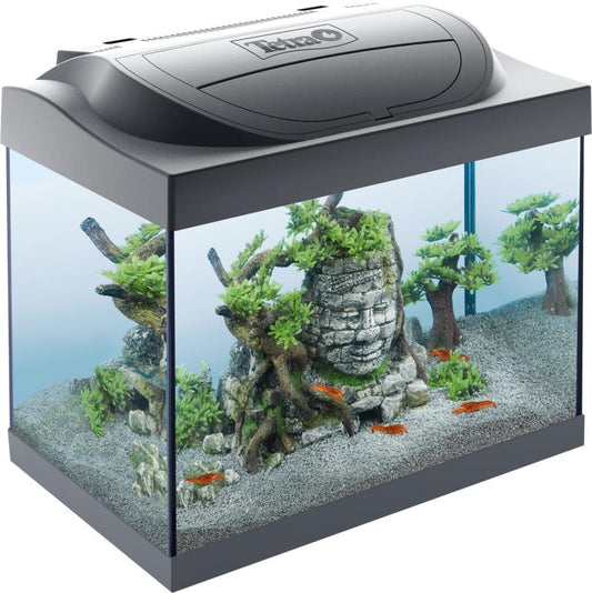 Tetra Starter Line LED Crayfish akvaariumi komplekt, 30 L