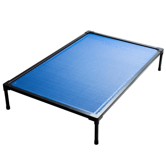 Misoko Kõrgendatud lemmiklooma magamisase