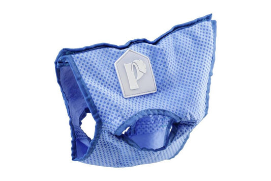 P.Lounge Lemmiklooma jahutav vest, sinine