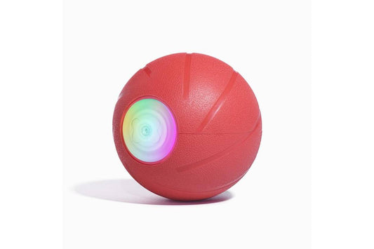 Lemmiklooma interaktiivne pallimänguasi