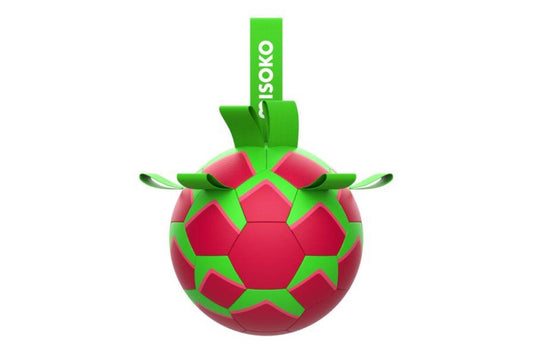 Täispuhutav koeramänguasi