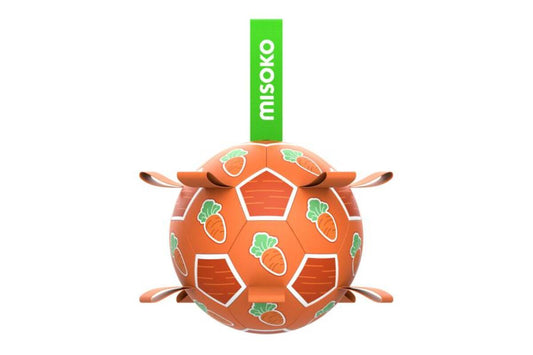 Täispuhutav koeramänguasi