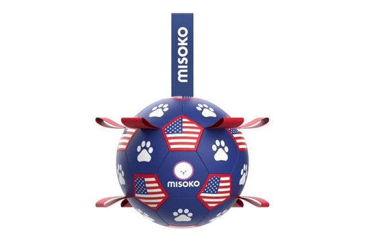 Täispuhutav koeramänguasi