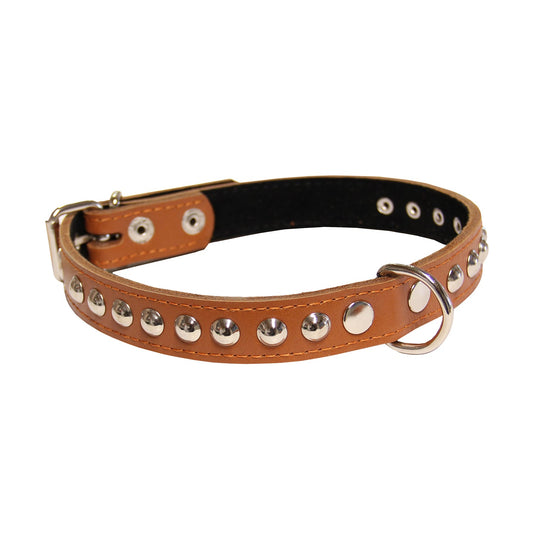 Metallist kaunistustega koera kaelarihm