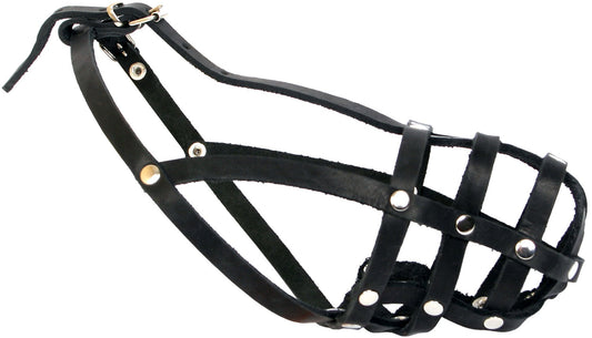 Cocker-spanjeli suukorv