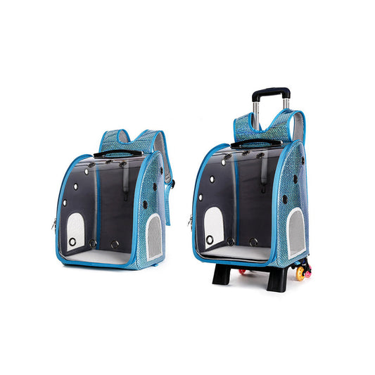 Lemmiklooma kandekott