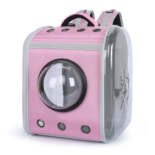 Lemmiklooma kandekott