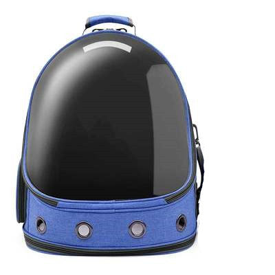 Lemmiklooma kandekott