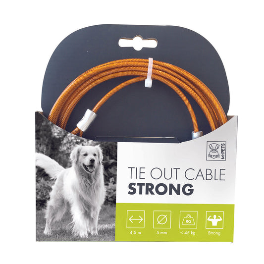 Koera terastross, kollane, 4,5 m