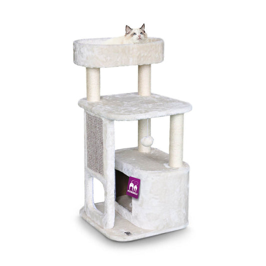 Cat scratcher Little Rock 99
