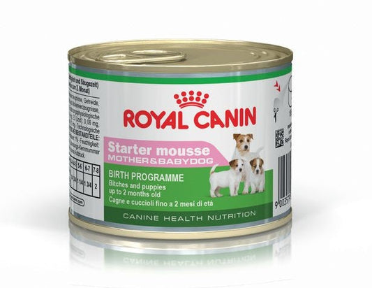 Royal Canin Starter mousse консервированный корм для взрослых собак