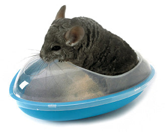 Chinchilla suplus tiik