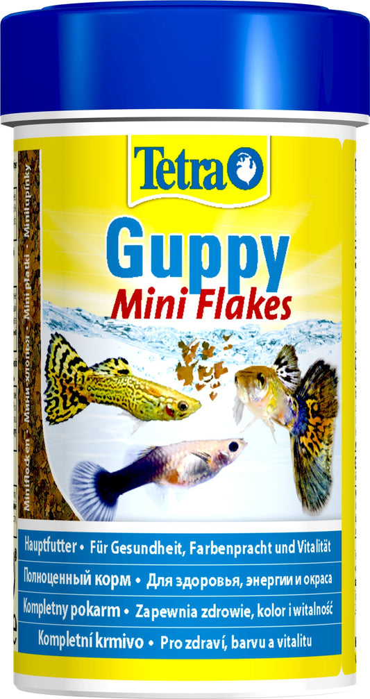 Tetra Tetra Guppy toit guppidele