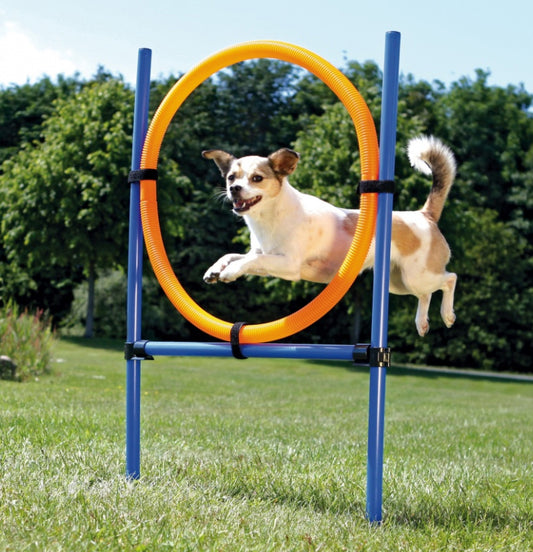 AGILITY treeningvahend koertele 115x3 cm, 65 cm