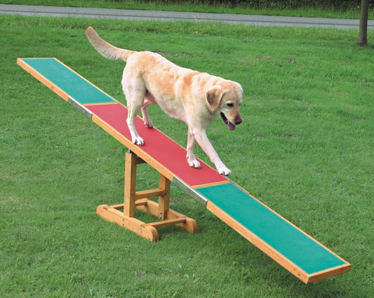 AGILITY treeningvahend koertele