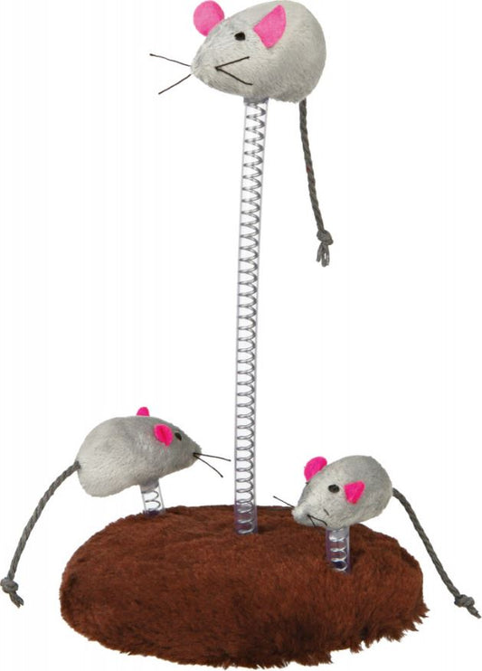 Kassimänguasi