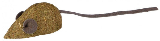 Kassimündist hiiremänguasi